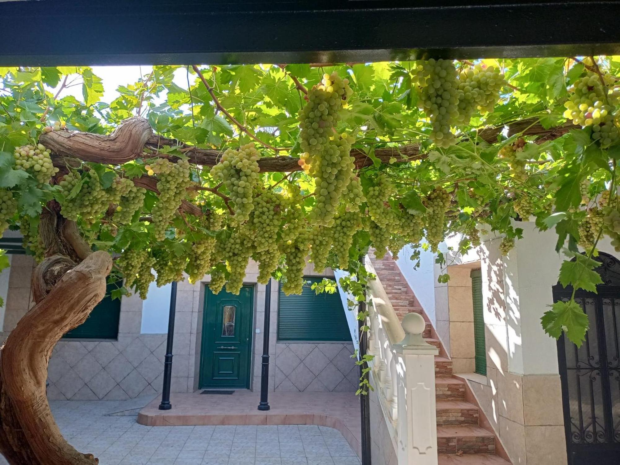 Casa Rural La del Alba Sería Argamasilla de Alba Exterior foto